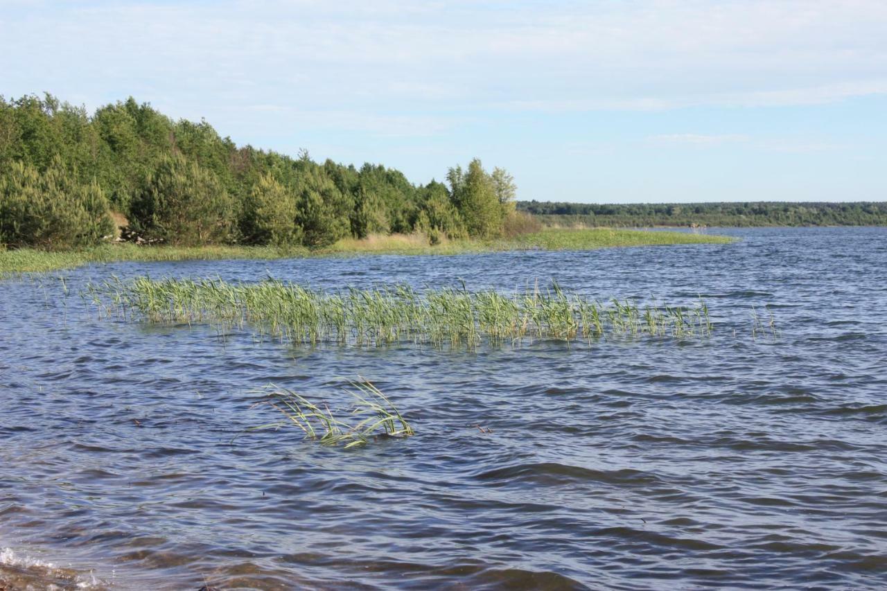 Ferienwohnungen Heideblick Grafenhainichen Extérieur photo